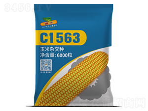 C1563-玉米種子
