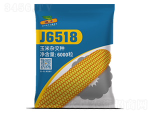J6518-玉米種子