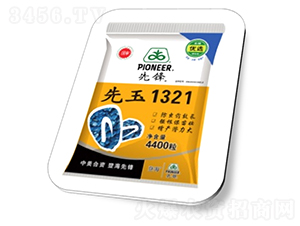 先玉1321-玉米種子-高科農(nóng)種業(yè)
