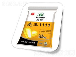 先玉1111-玉米種子-高科農(nóng)種業(yè)