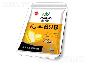 先玉698-玉米種子-高科農(nóng)種業(yè)