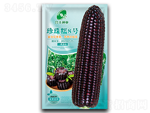 珍珠糯8號(hào)-玉米種子-合豐種業(yè)