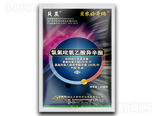 ȷᮐ-ؐr(nng)øz-ؐ˹r(nng)