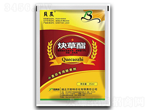 15%Ȳ-ؐr(nng)-ؐ˹r(nng)