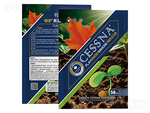 SͪT-o-ЅRr(nng)I(y)