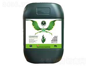 屬Һ-(rn)-ЅRr(nng)I(y)