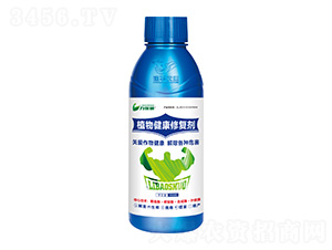 ֲ｡ޏ(f)-T-Ar(nng)I(y)