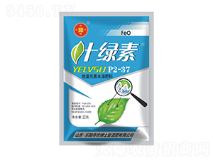 ΢Ԫˮܷϣ10ˣ-~G-(l)r(nng)ʿ