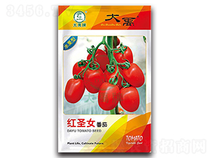 紅圣女番茄種子-大禹種業(yè)