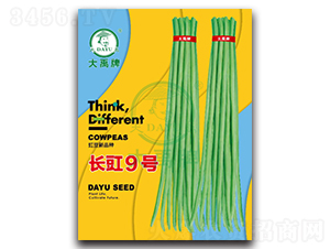 L(zhng)9̖(ho)-N-NI(y)