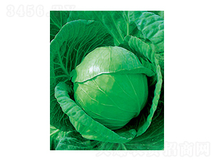 иʮһ{(ln)N-̫NI(y)