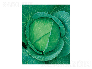 Sһ̖(ho){(ln)-̫NI(y)