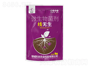 o(w)΢-(chung)|z-ĳǿƄ(chung)