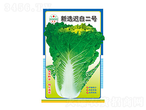 ײ˷N-xt׶̖(ho)-̫NI(y)