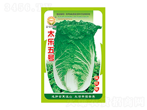 ײ˷N-̫̖(ho)Ʒ-̫NI(y)