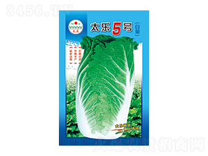 ײ˷N-̫5̖(ho)-̫NI(y)