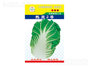 ײ˷N-2̖(ho)-̫NI(y)