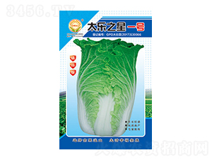 ײ˷N-̫֮һ̖(ho)Ʒ-̫NI(y)