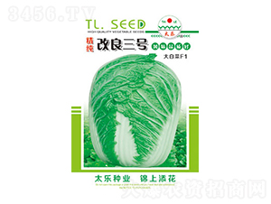 ײ˷N-̖(ho)-̫NI(y)