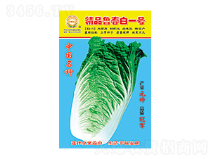 ײ˷N-Ʒһ̖(ho)-̫NI(y)