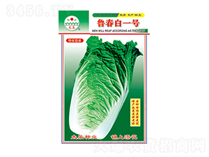 ײ˷N-ס̖(ho)-̫NI(y)