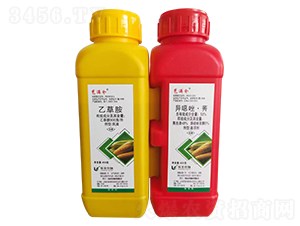 900/Ҳݰ+53%fݬҸ-M}(cng)-P