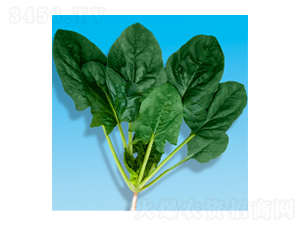 ˷N-孲203-A孷NI(y)