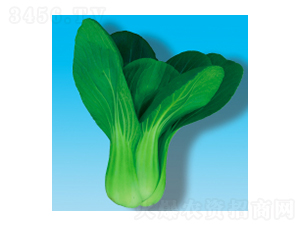 ๣˷N-061-A孷NI(y)