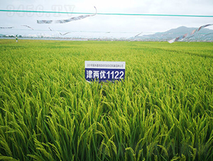 Ƀ(yu)1122-ˮN-𽡷NI(y)