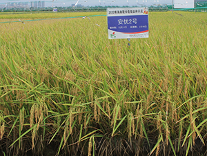 (yu)2̖(ho)-ˮN-𽡷NI(y)