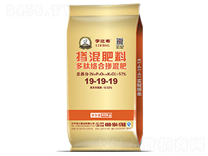 Ľj(lu)ϓ19-19-19-ϣ-ʢԴ