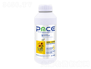 տ̼øVԴ\𵰰Һ-ľ|(zh)ᡤտ-˹