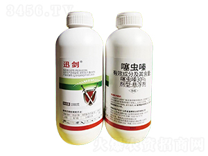 30%x(chng)ຑҸ-Ѹ-Ix