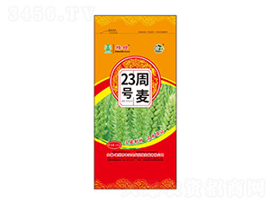 23̖(ho)СN-Sr(nng)I(y)