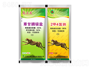 55%ݸ@}+24p(lin)-V|r(nng)