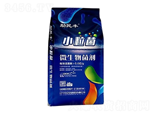 ΢-С-S-Ѓ|r(nng)I(y)