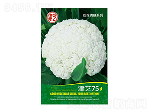 ˷N-ˇ75-Sr(nng)I(y)