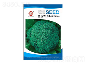 mN-{(ln)2101-Sr(nng)I(y)