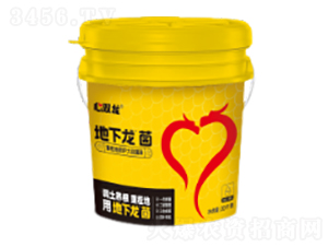 زؾo(h)󶹾Һ--p-ɽp