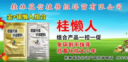 桂林花信植物組培苗有限公司